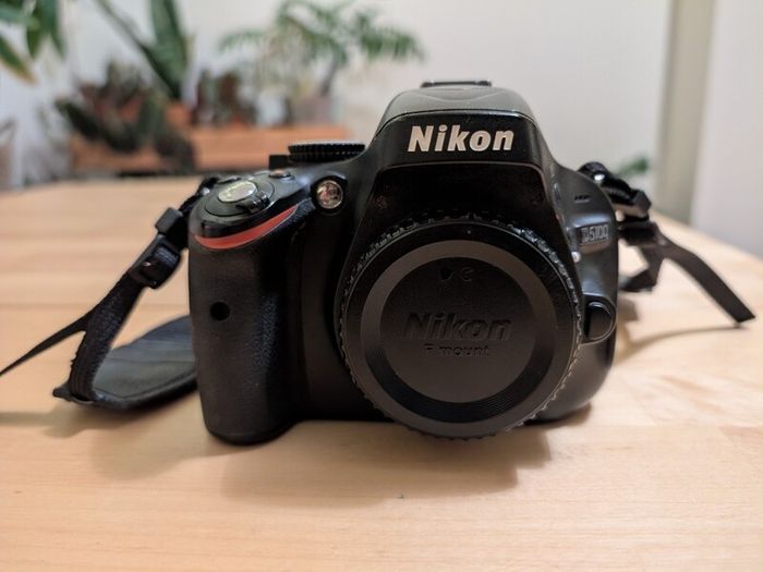 Nikon D5100 &  Sigma Camera Lense 18-200mm f/3.5-6.3 DC OS HSM