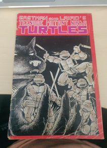 Teenage Mutant Ninja Turtles 1 (1988) 5th print