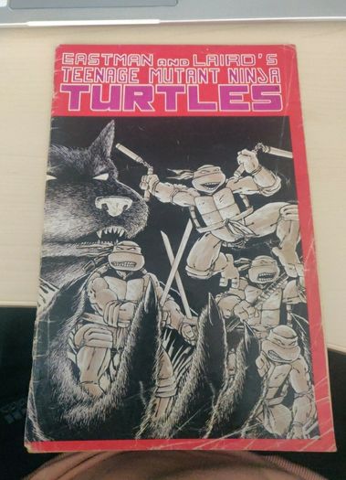 Teenage Mutant Ninja Turtles 1 (1988) 5th print