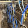 Milking palour Image 2