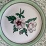RHS Applebee Delf; Plates, cups & saucers Image 3