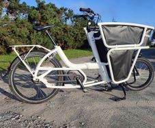 cube cargo Specialized transport