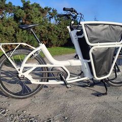 cube cargo Specialized transport