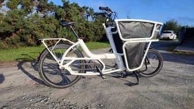 cube cargo Specialized transport