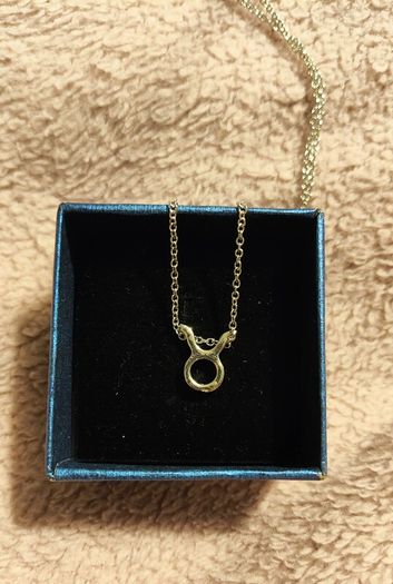 Taurus Zodiac Necklace Celestial & Personal Charm