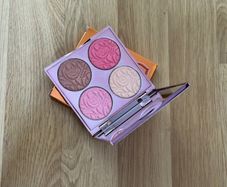 By Terry  brightening cc palette sunny flash
