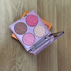 By Terry  brightening cc palette sunny flash