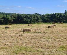 Small square bales of hay