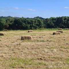 Small square bales of hay