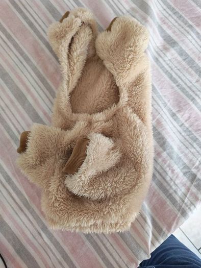 dog jacket