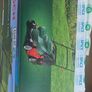 Lawn Mower Image 3