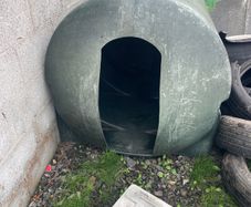 dog house