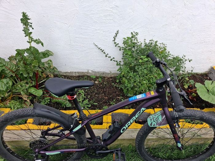 Mountain Bike - Orbea Mx24 Dirt