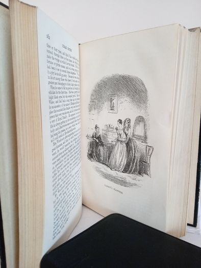 Bleak House by Charles Dickens. With Forty Illustrations by 'Phiz' (PT99)