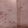 Jethro Tull''Living in the past''.2 Lp's.Original 1st.Press.P-72.Exc.cond Image 9