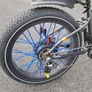 Rad Power Electric bike Image 6