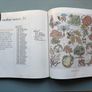 Vintage Better Homes and Gardens 2001 Cross Stitch Designs Reference Craft Book Image 4