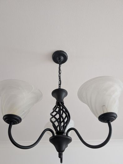 Black Ceiling Light fixture