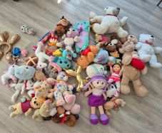 Teddies