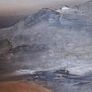 'Seashore' Image 5