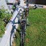 Adult's Bike Image 3