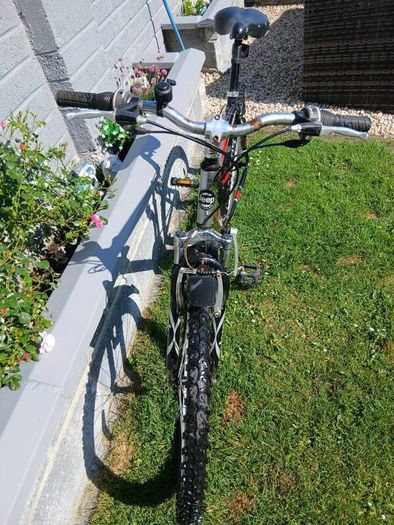 Adult's Bike
