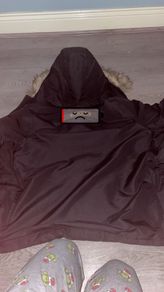 canada goose
