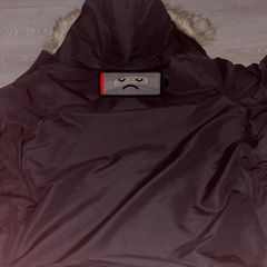 canada goose
