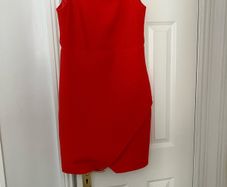 Frank lynam coral Dress