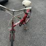 bike Image 4