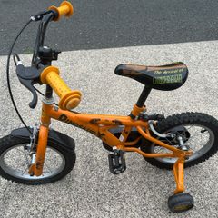 Kids 14 inch Bicycle
