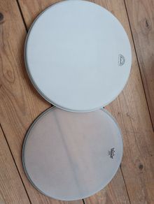 Two Banjo Heads