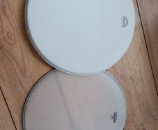 Two Banjo Heads