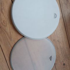 Two Banjo Heads