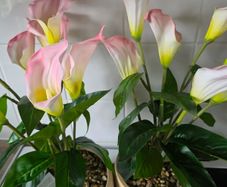 2 artificial calla lily