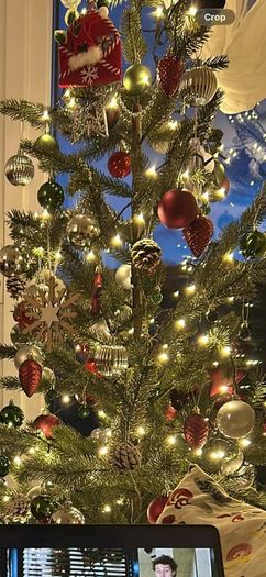 christmas tree and decorations