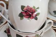 Antique Bohemia Tea Set