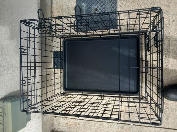 small dog travel crate