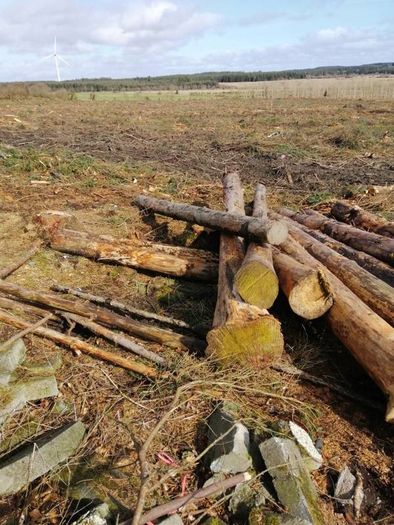 Timber