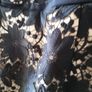 Coast Dress Image 3