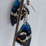 Blue Pansy Butterfly Wing Earrings Image 8