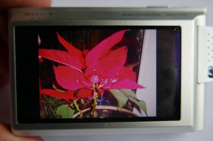 Sony Cyber-shot DSC-T70 8.1MP Digital Camera - Silver + charger works well