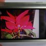 Sony Cyber-shot DSC-T70 8.1MP Digital Camera - Silver + charger works well Image 7
