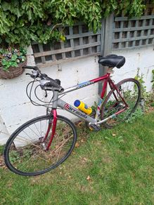 Barracuda road bike