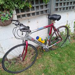 Barracuda road bike