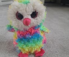 Owl beanie boo