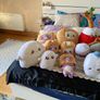 Lanky box large bundle including baby bundle Image 2