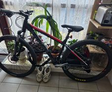 mountain bike