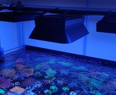 Ecotech Radion XR15/30 Magnetic Shade