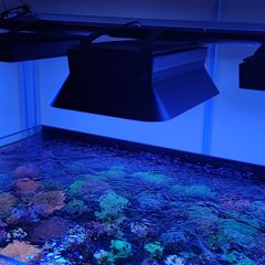 Ecotech Radion XR15/30 Magnetic Shade